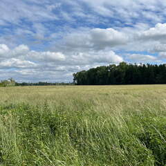 22-05-27 16-50-40 0916